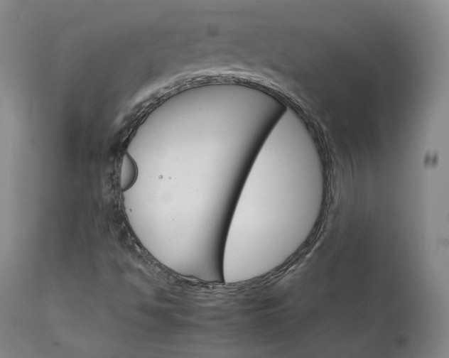X0000111231494200907091324
