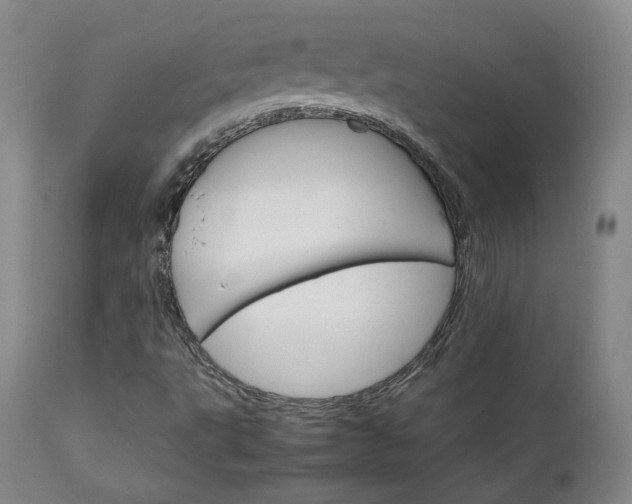 X0000111231495200907091324