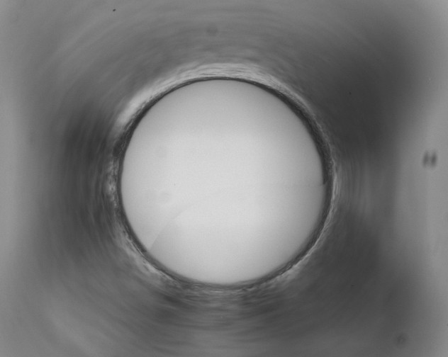 X0000111231498200907091324