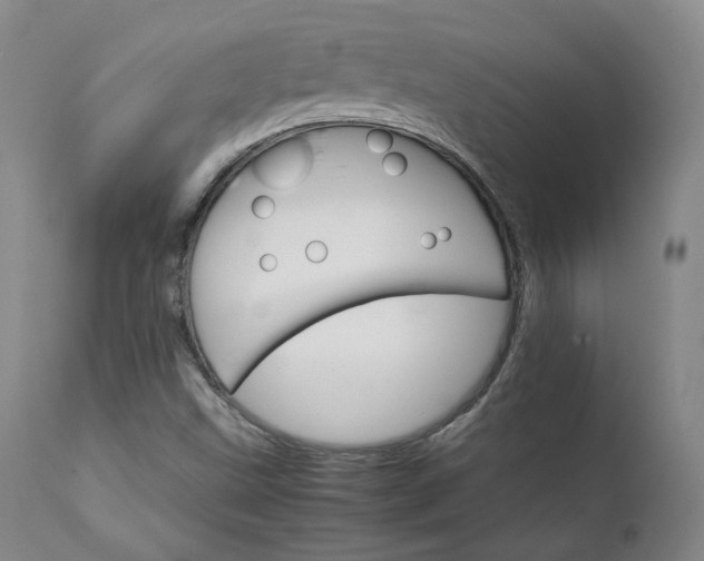 X0000111231499200907091324