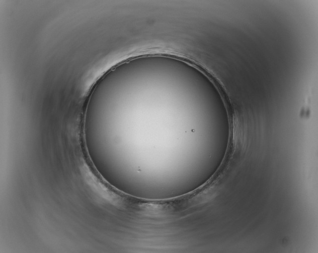 X0000111231500200907091324