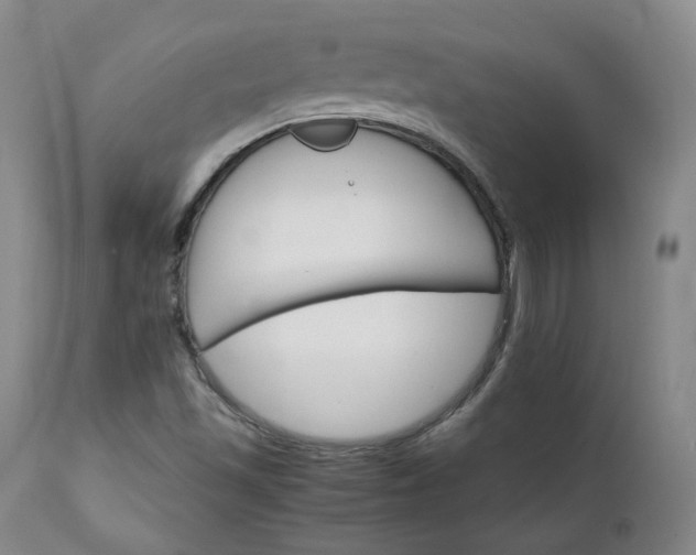 X0000111231501200907091324