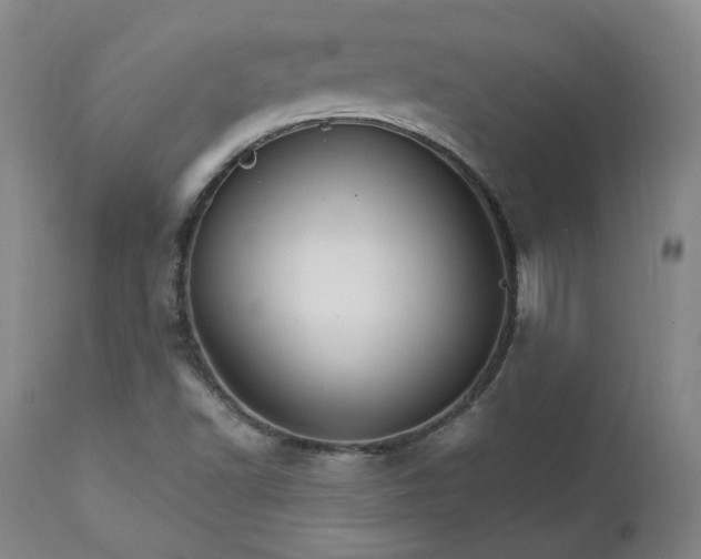 X0000111231502200907091324