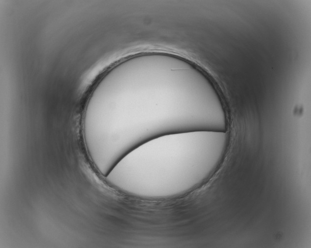 X0000111231503200907091324