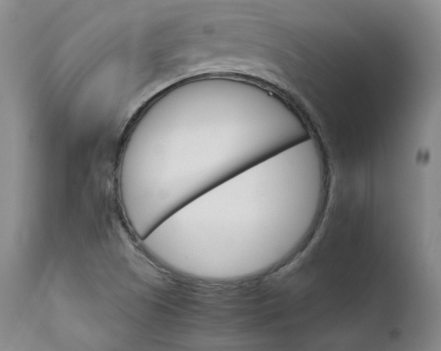 X0000111231505200907091324