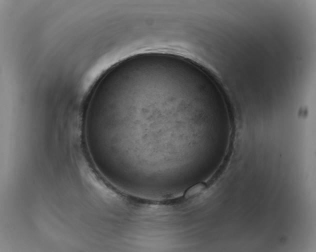X0000111231506200907091324