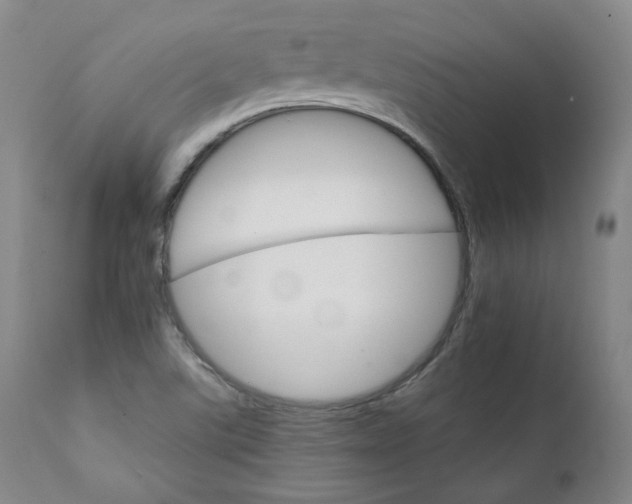 X0000111231507200907091324