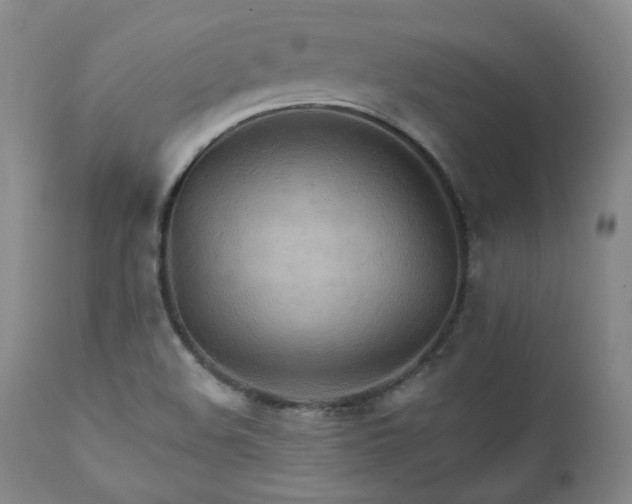 X0000111231508200907091324