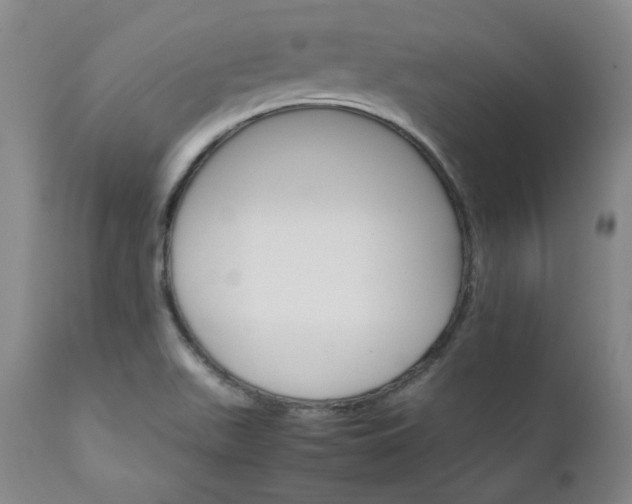 X0000111231511200907091324