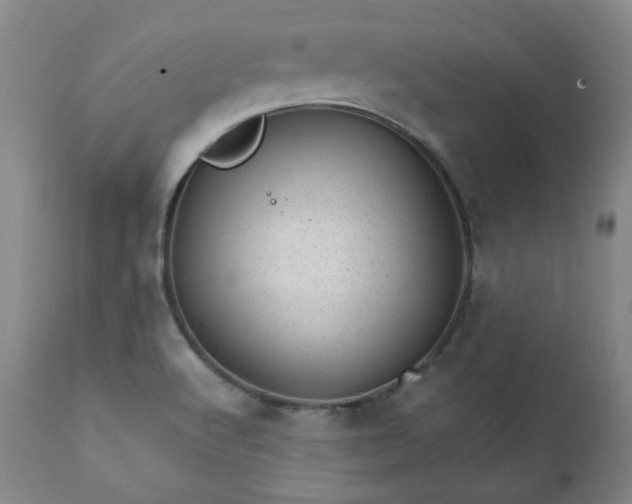 X0000111231512200907091324