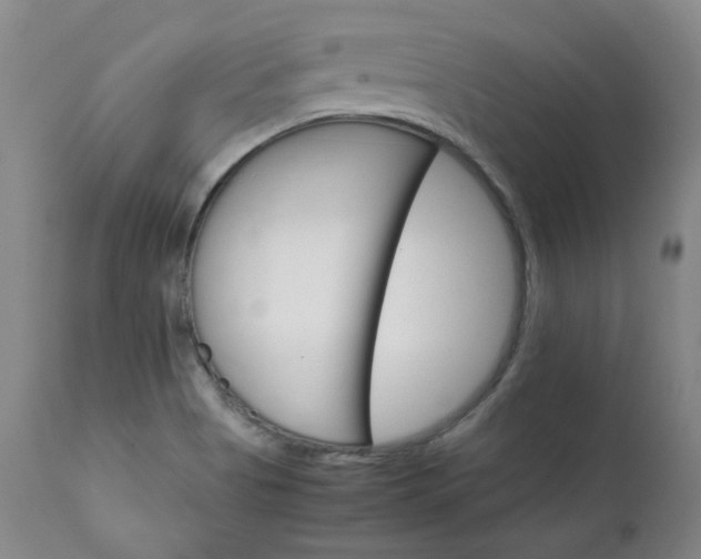 X0000111231513200907091324