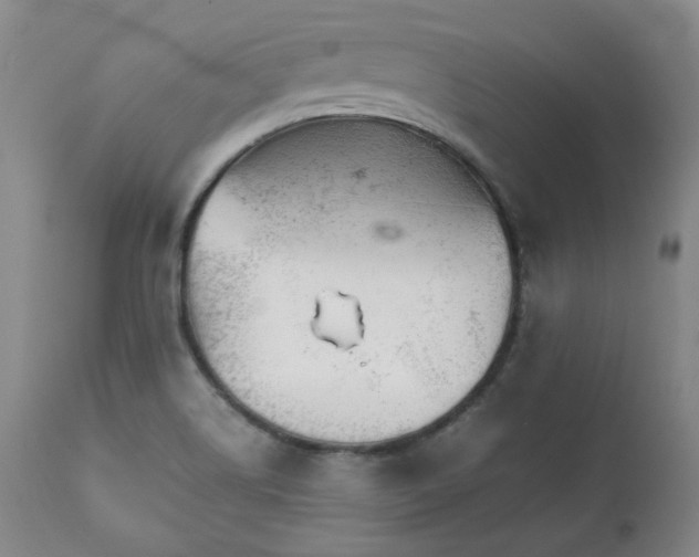X0000111231514200907091324