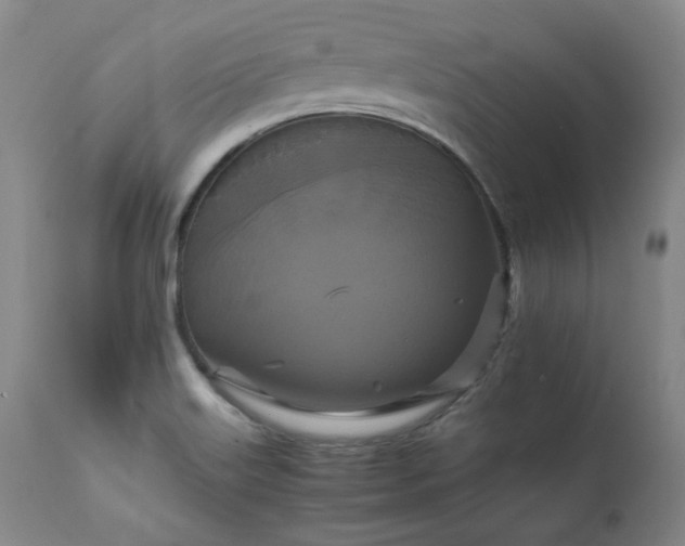 X0000111231515200907091324