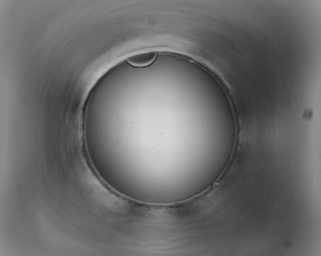 X0000111231516200907091324