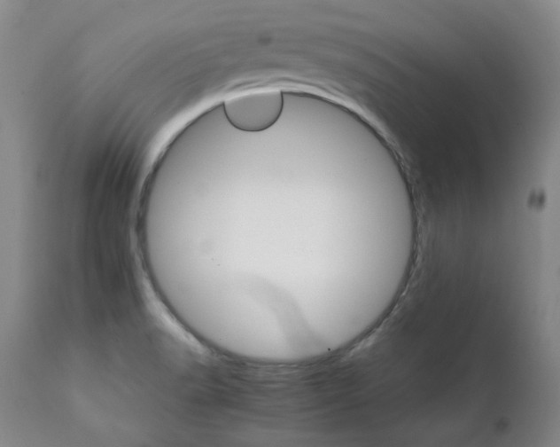 X0000111231518200907091324