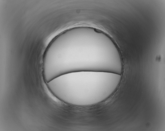 X0000111231519200907091324