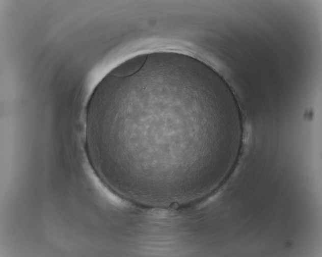 X0000111231520200907091324