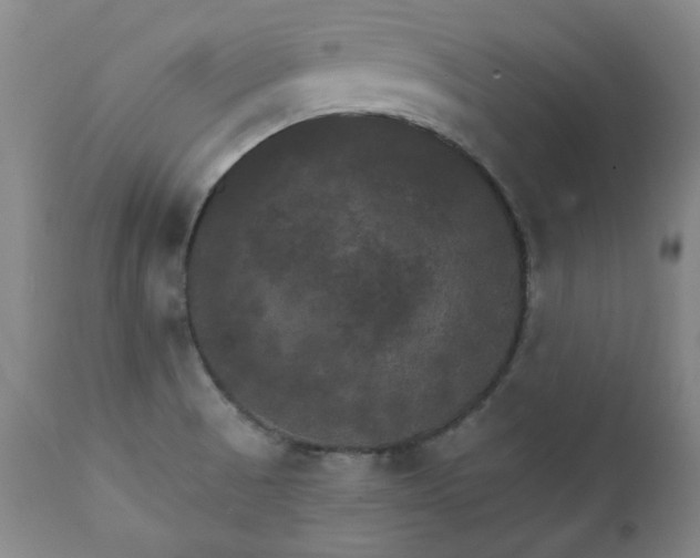 X0000111231521200907091324