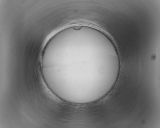 X0000111231522200907091324