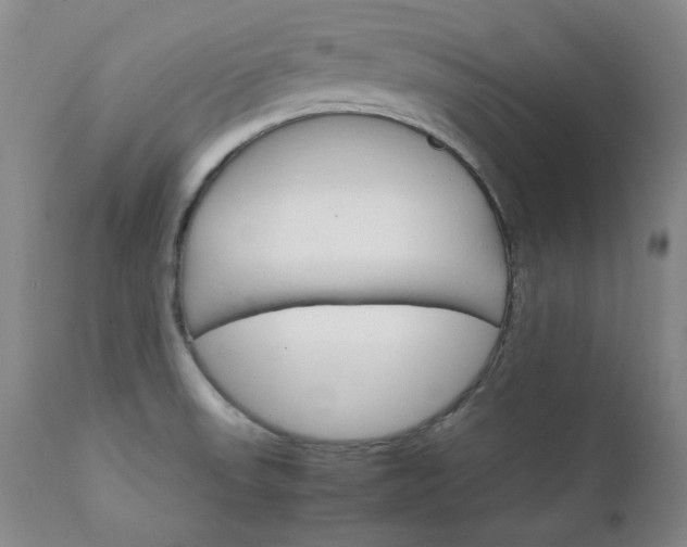 X0000111231523200907091324