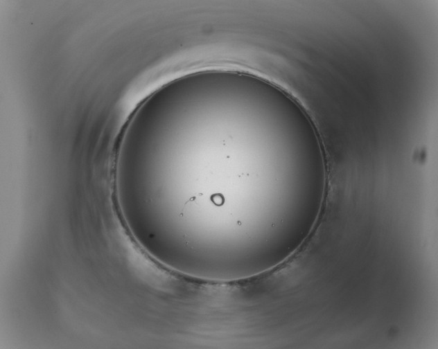 X0000111231526200907091324