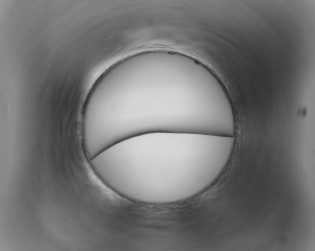 X0000111231527200907091324