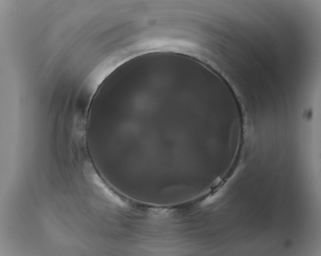 X0000111231529200907091324