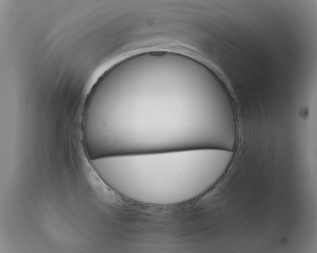 X0000111231530200907091324