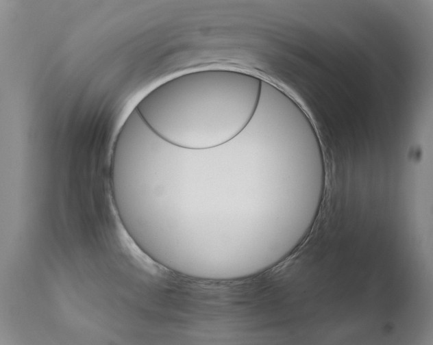 X0000111231532200907091324