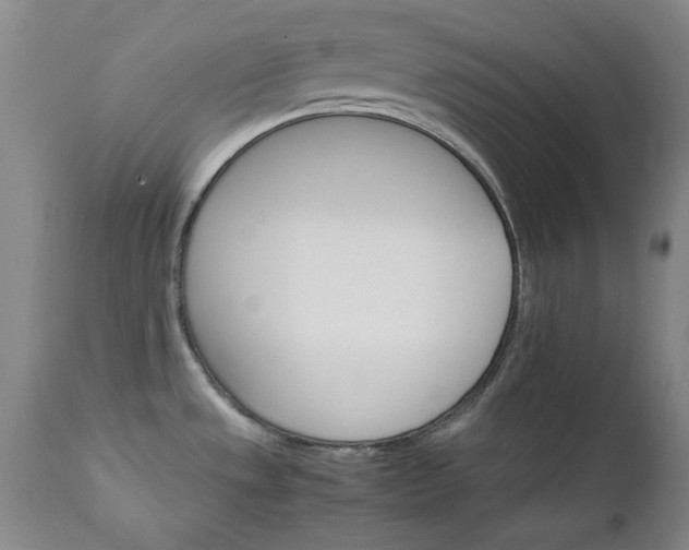 X0000111231533200907091324
