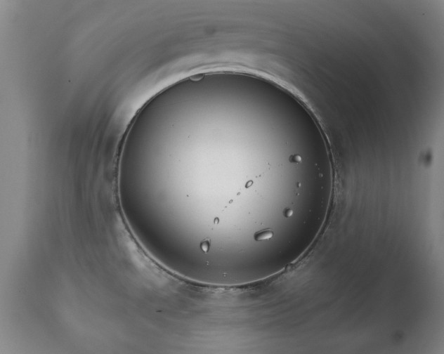 X0000111231534200907091324