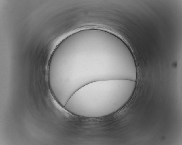 X0000111231535200907091324
