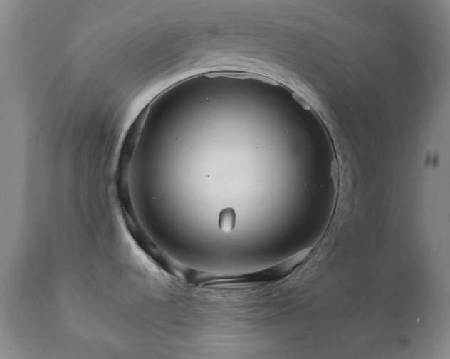 X0000111231536200907091324