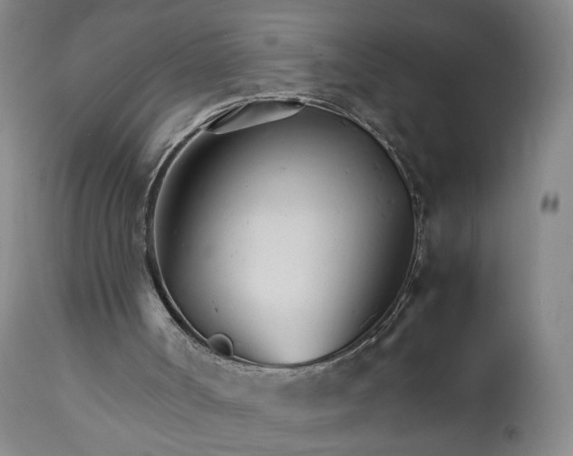 X0000111230002200907161328