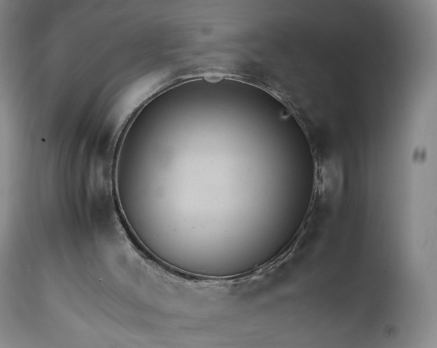 X0000111230004200907161328