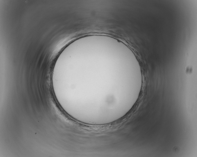 X0000111230005200907161328