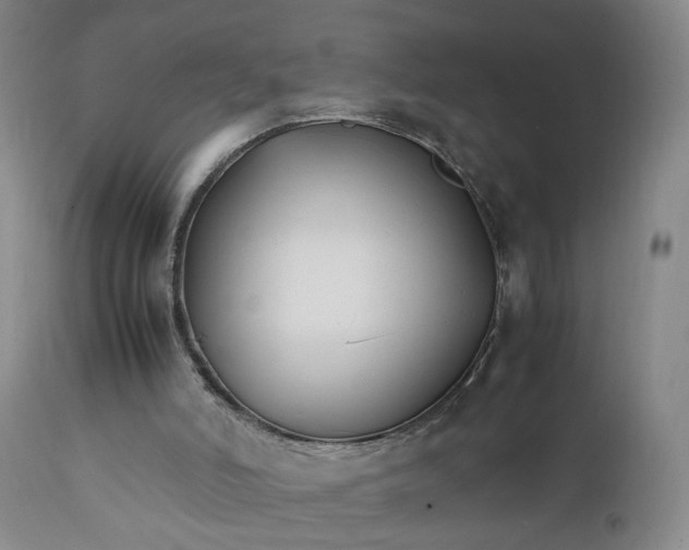 X0000111230006200907161328