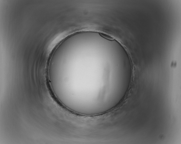X0000111230007200907161328