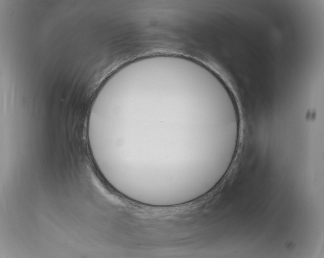 X0000111230009200907161328