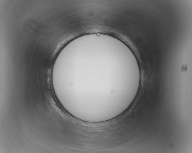 X0000111230010200907161328