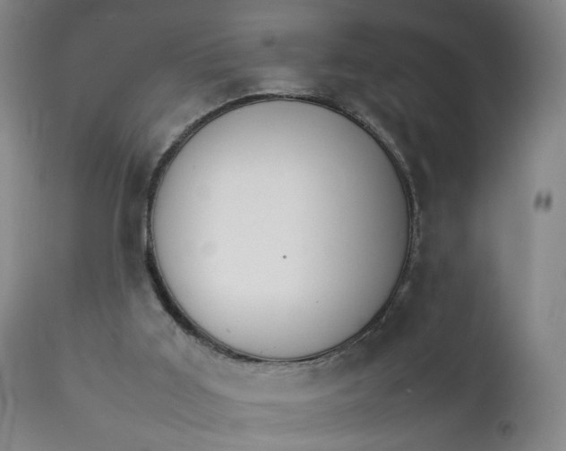 X0000111230011200907161328