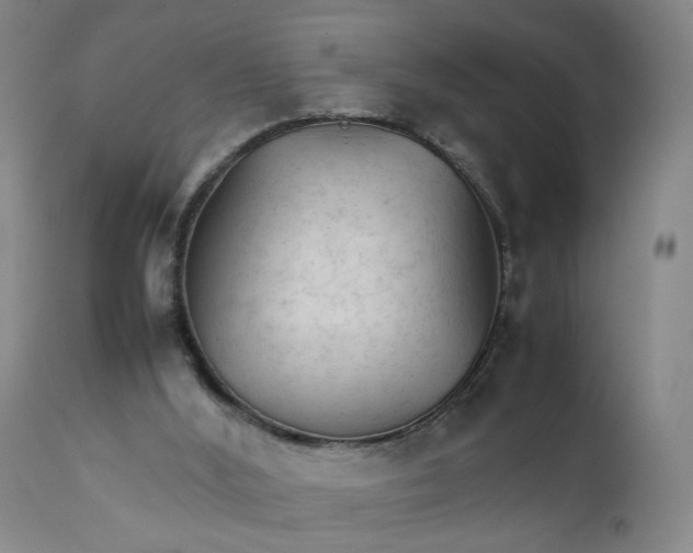 X0000111230012200907161328