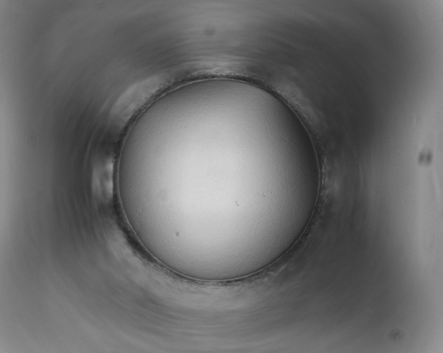 X0000111230014200907161328