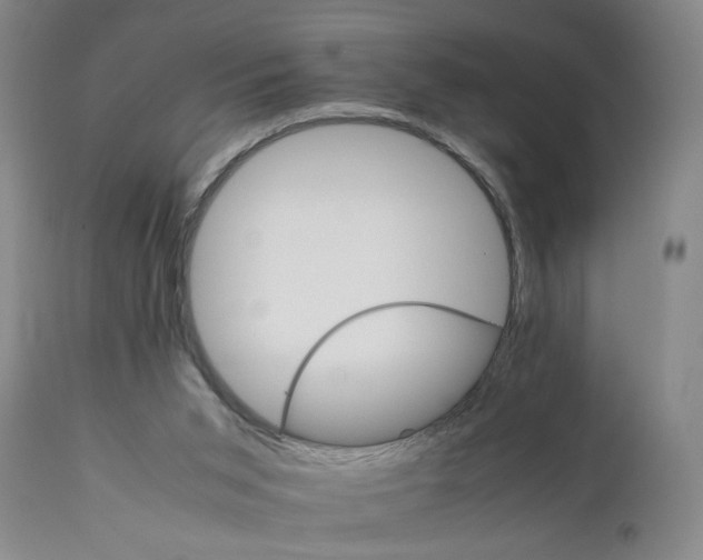 X0000111230015200907161328