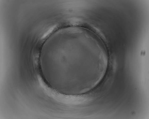 X0000111230018200907161328