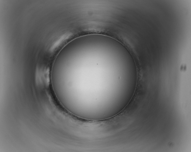 X0000111230020200907161328