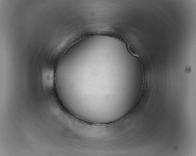 X0000111230024200907161327