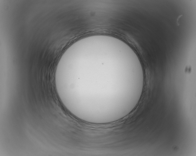 X0000111230025200907161327