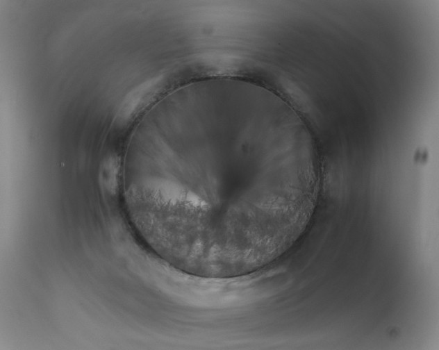 X0000111230026200907161327