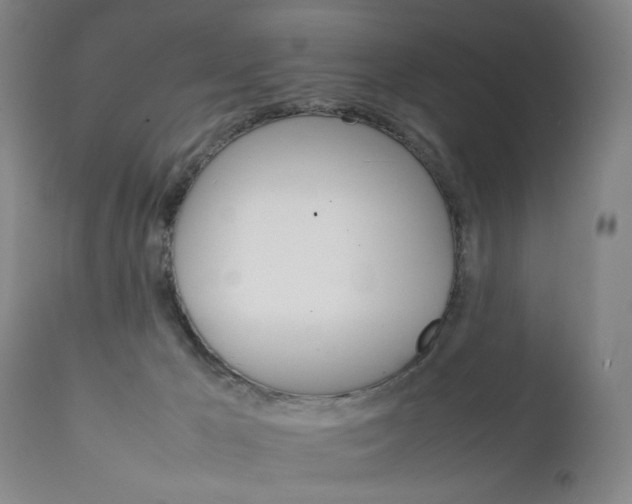 X0000111230029200907161327